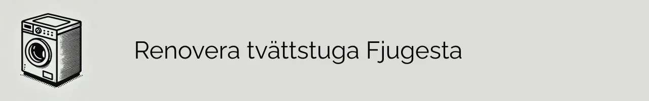 Renovera tvättstuga Fjugesta